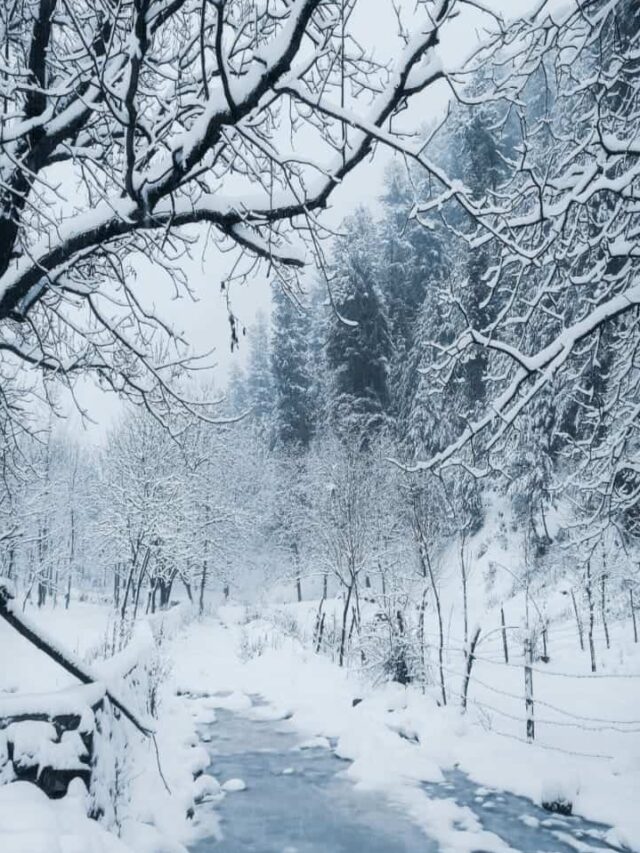 snowfall in india