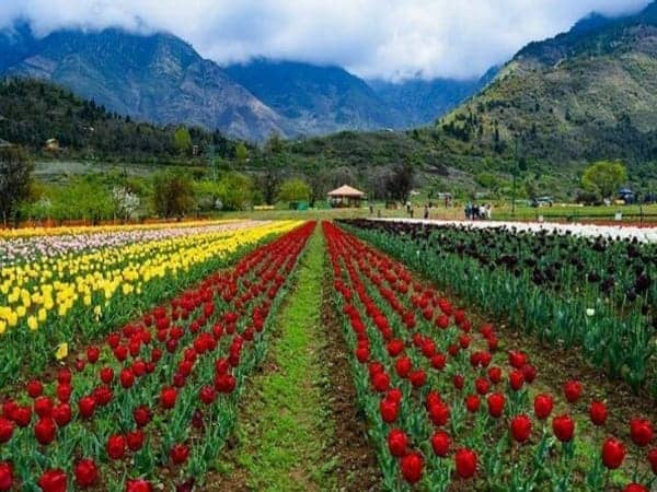 Kashmir Travel