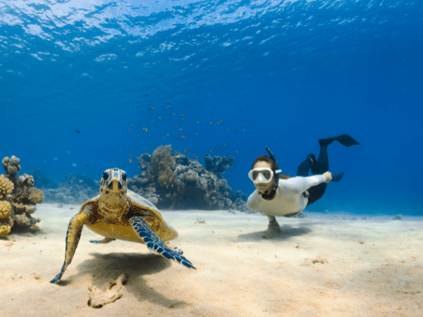 Best Scuba Diving in Asia