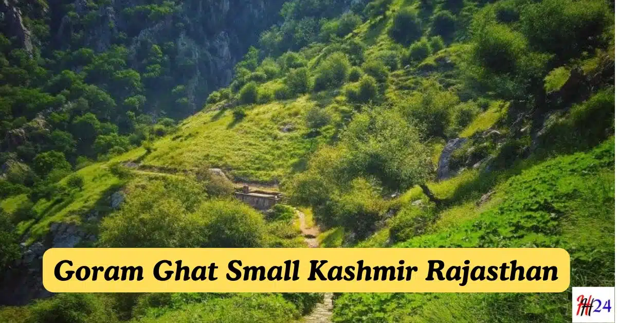 Goram Ghat Small Kashmir Rajasthan