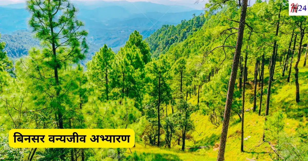 Almora Yatra Kaise Kare Kab Jaye Hindi Guide