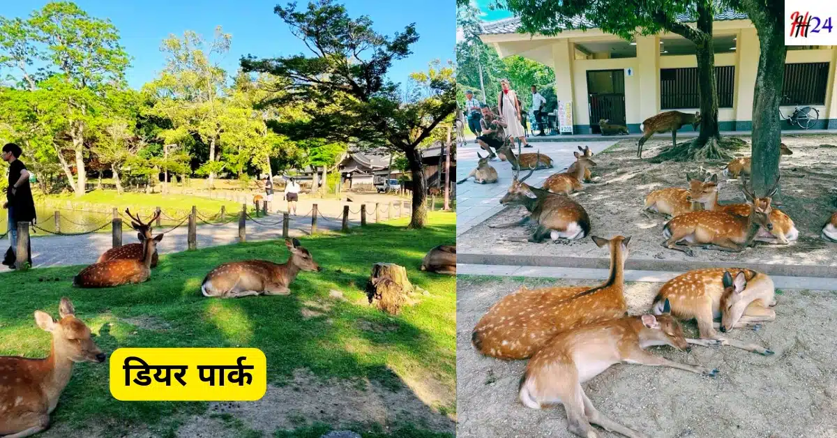 Almora Yatra Kaise Kare Kab Jaye Hindi Guide
