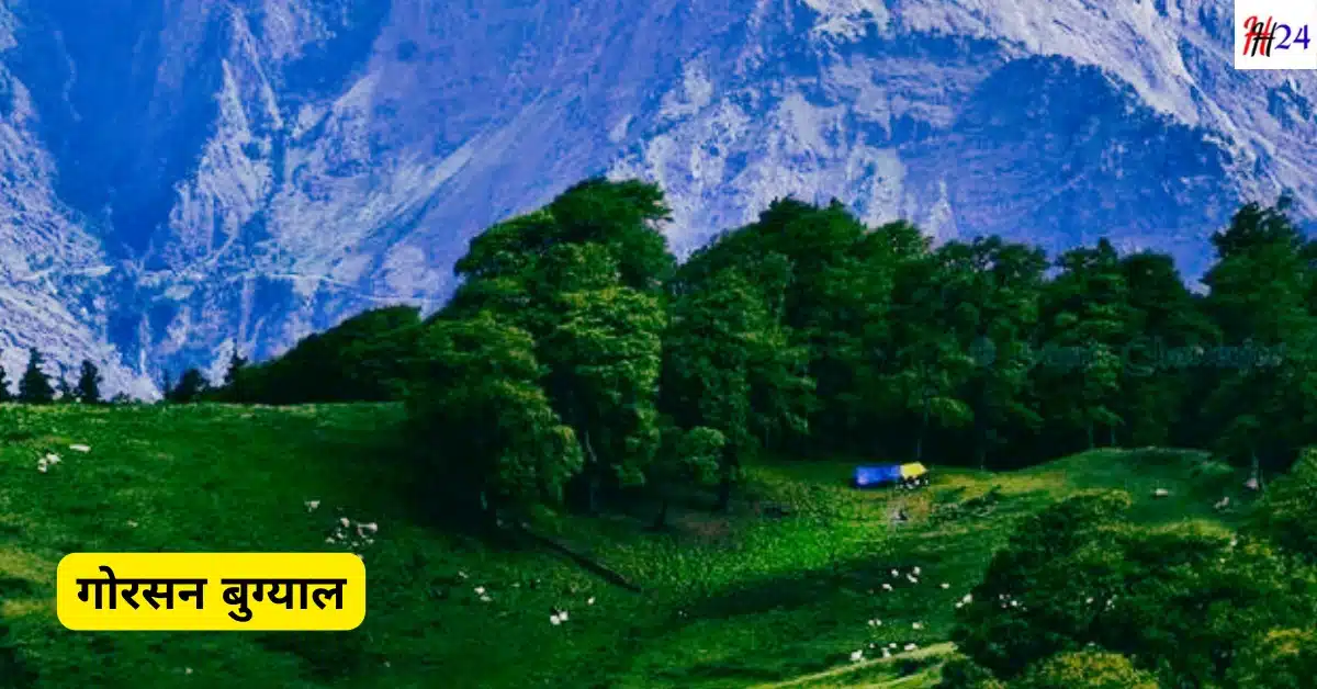 Auli me Ghoomne Ki Jagah and Near Hotels