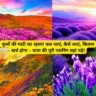 Phoolon ki Ghati Yatra kaise kare