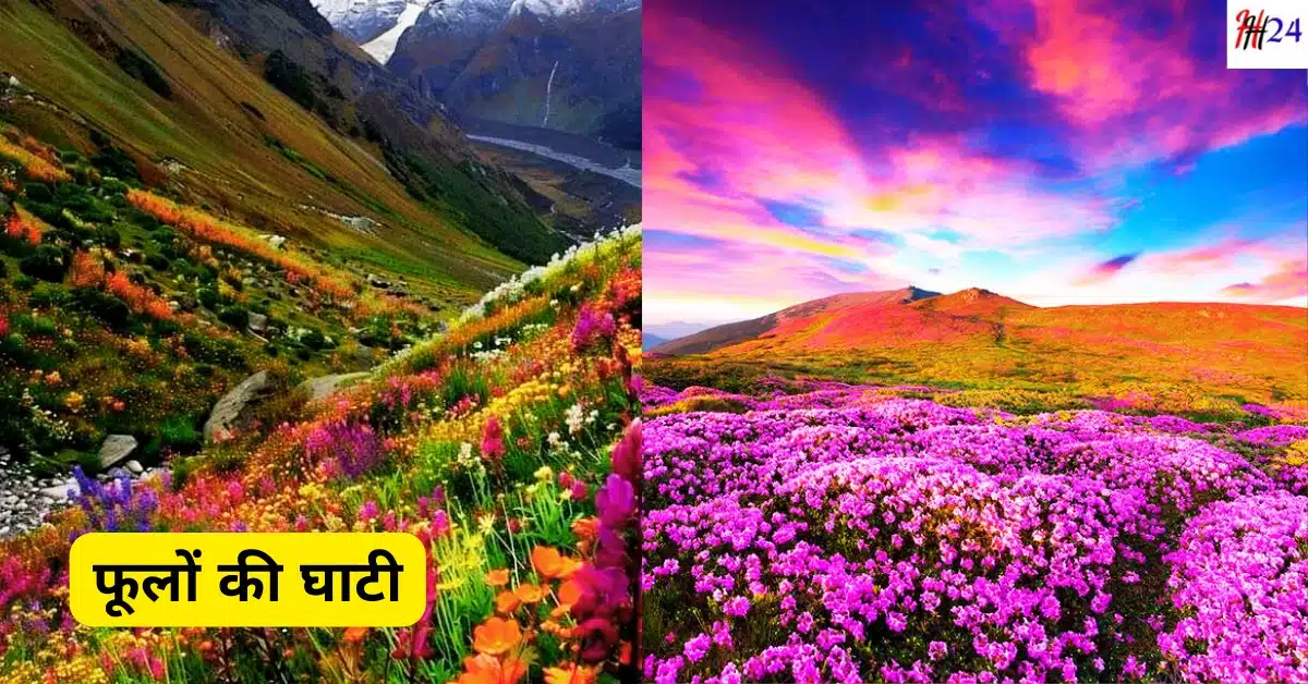 Phoolon ki Ghati Yatra kaise kare