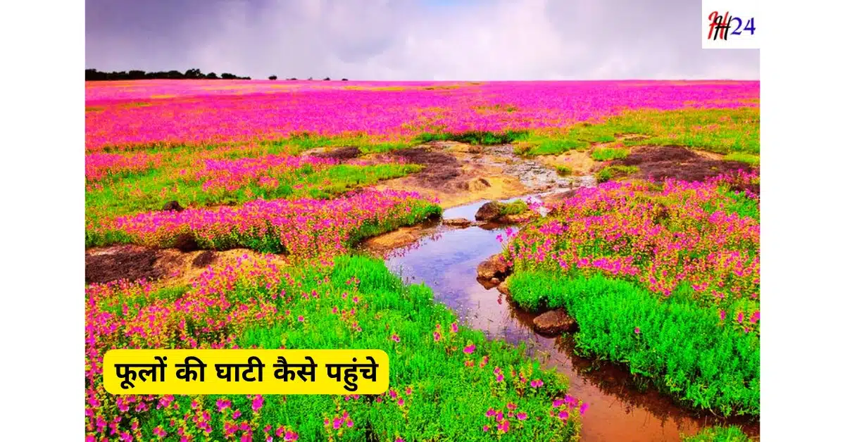 4 din me Valley of Flowers kaise ghoome