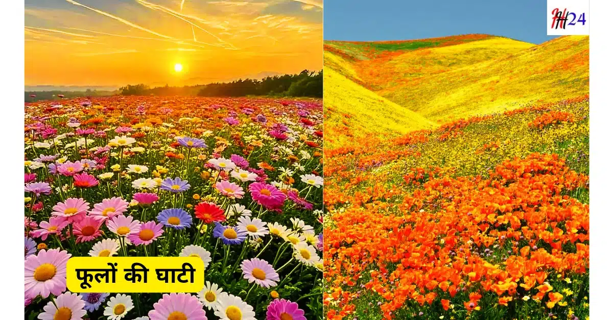 4 din me Valley of Flowers kaise ghoome