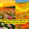 4 din me Valley of Flowers kaise ghoome