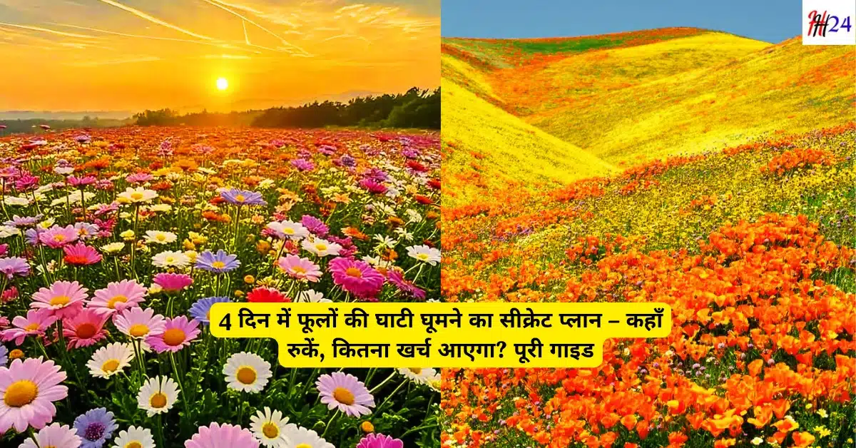 4 din me Valley of Flowers kaise ghoome