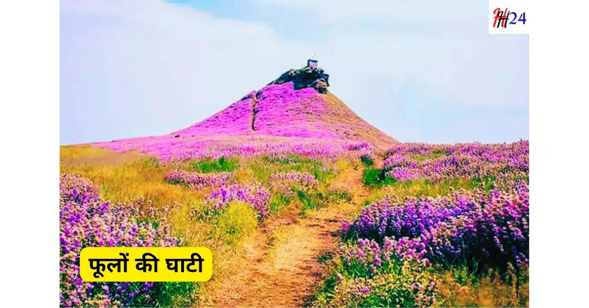 4 din me Valley of Flowers kaise ghoome