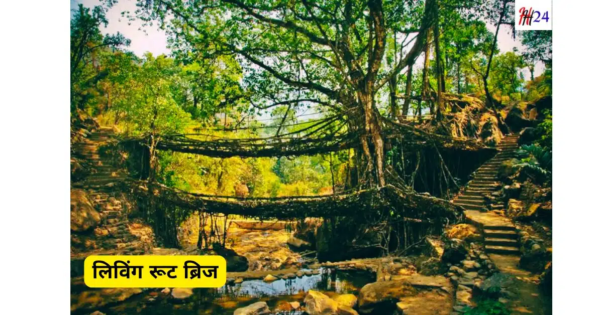 Cherapunji Yatra Kaise Kare Ghoomne Ke Sthan