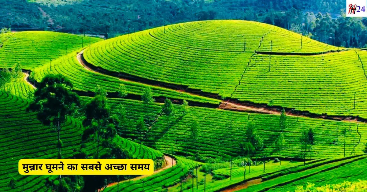 Munnar 4 Days Tour Plan with Hotels and Budget
