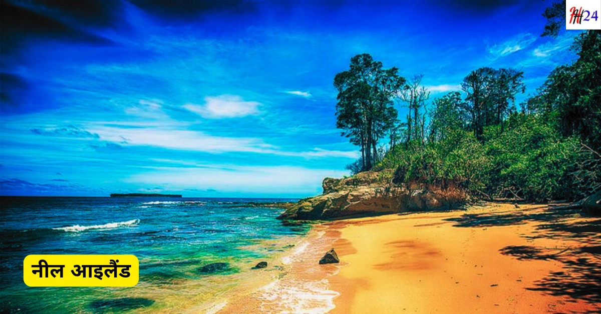 Andaman Nicobar Travel Guide Budget and Hotels
