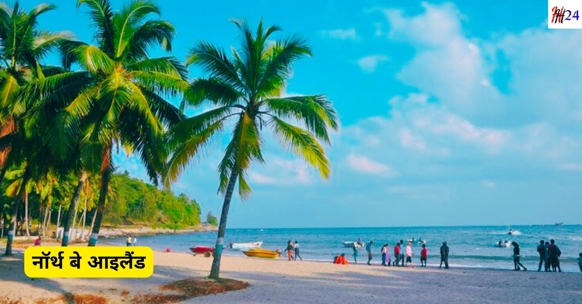 Andaman Nicobar Travel Guide Budget and Hotels